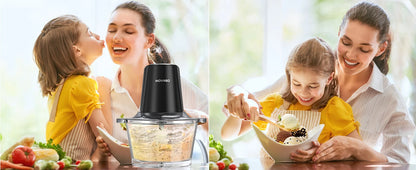 Electric Food Processor